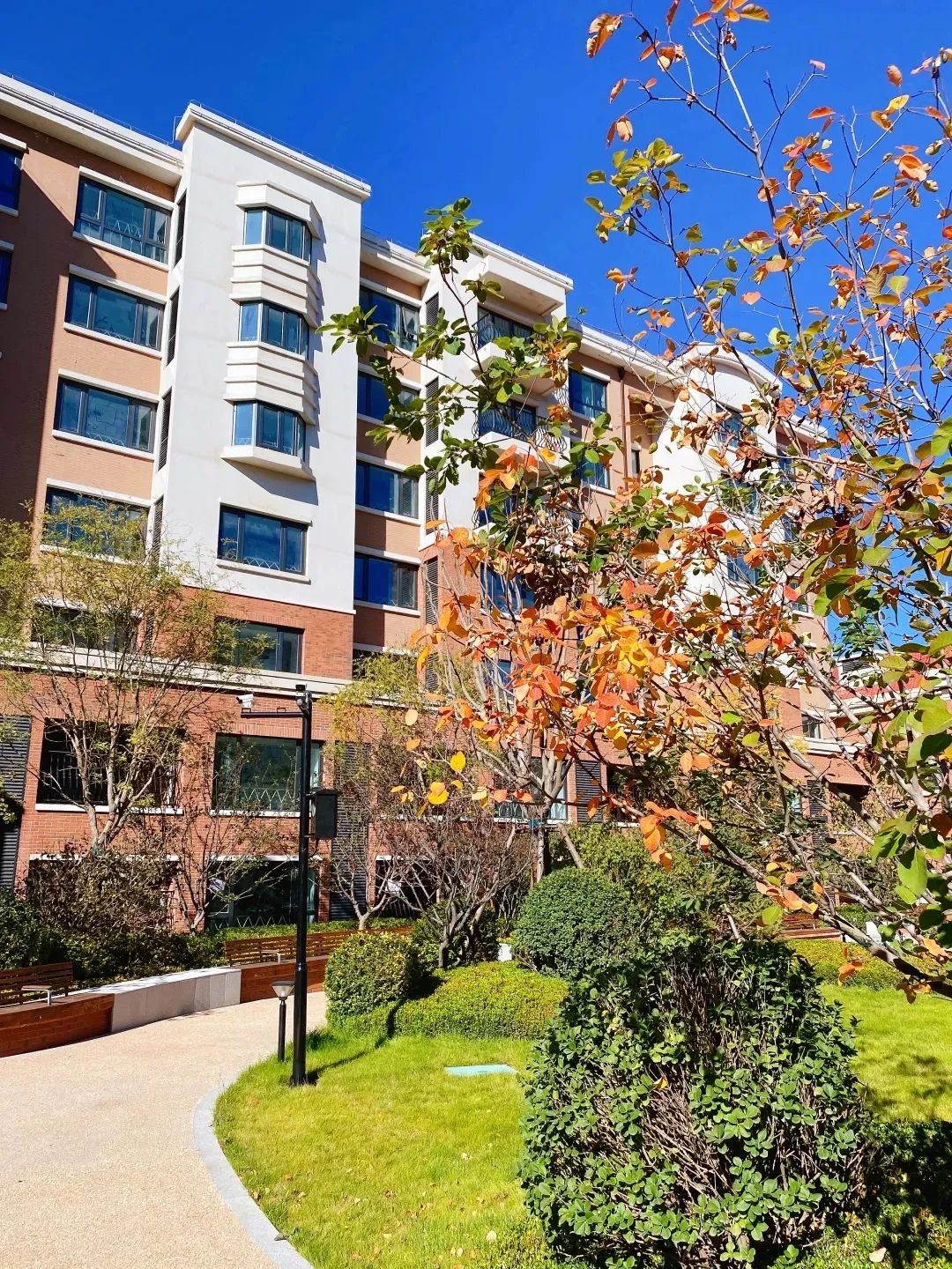 悦享数字牵手新华家园·颐享社区(图11) 3.5.jpg