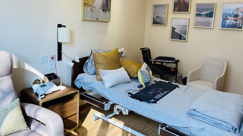 智慧养老:养老数字化转型的探索与实践(图2) 智慧养老:养老数字化转型的探索与实践(图2)