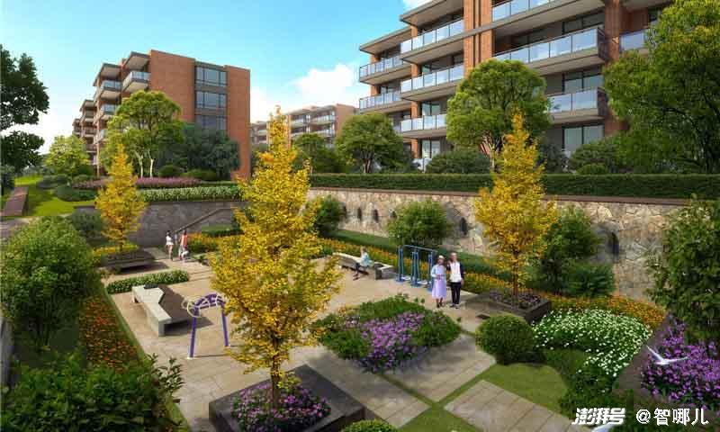 智慧养老怎么“养”？不要让科技成为老年群体的束缚(图2)